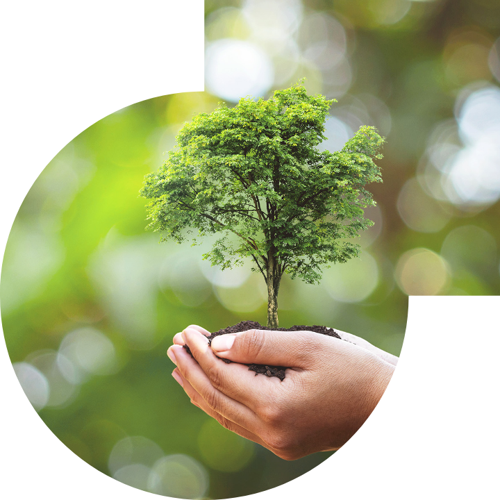 關懷人類、文化、環境與社會